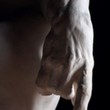 <p>Hand of Adam by Rodin</p>