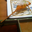 <p>Bon Kushikatsu - Paris</p>