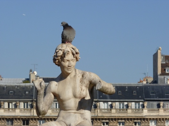 The Palais-Royal, Paris: The Garden