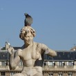 <p><b>The Palais-Royal</b>, Paris: <i>The Garden</i></p>