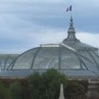 <p>Grand Palais - Paris</p>