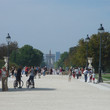 <p>Jardins des Tuileries - Paris</p>