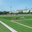 <p>Jardins des Tuileries - Paris</p>