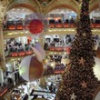 <p>Les Galeries Lafayette - Paris</p>